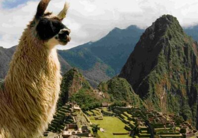 Machupicchu Full Day en Tren «Peru Rail – Expedition»
