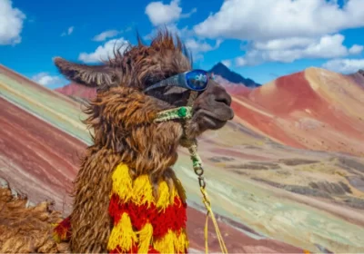 MONTAÑA DE COLORES 1