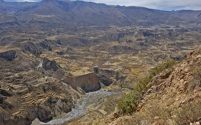 Cañón del Colca