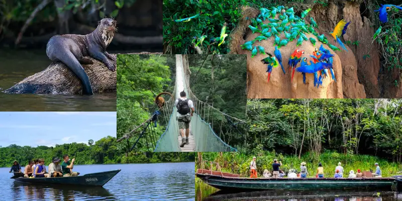 Como llegar a Cusco desde Costa Rica-Madre de Dios