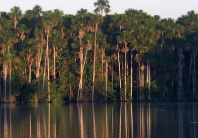 Exploración en la Reserva Nacional de Tambopata y el Lago Sandoval