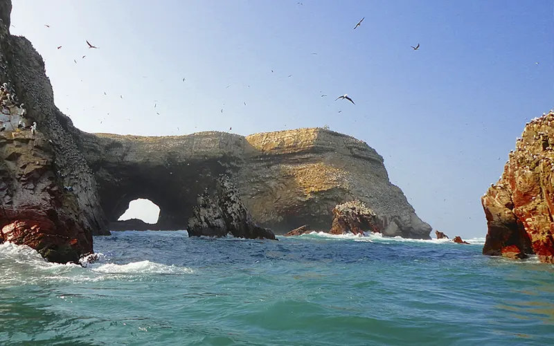Paracas y la Reserva Nacional de Paracas